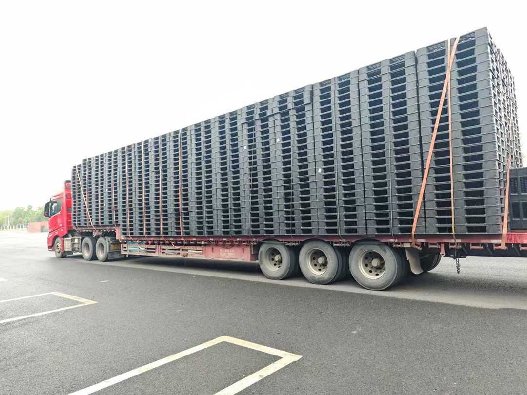 昆明免熏蒸塑料卡板出口用(图1)